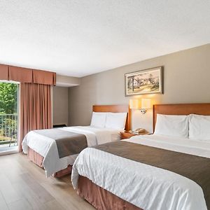 Standard Queen Room 2 Queen Beds